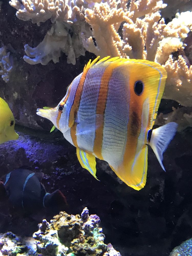 Photograph by Anca Hultoana