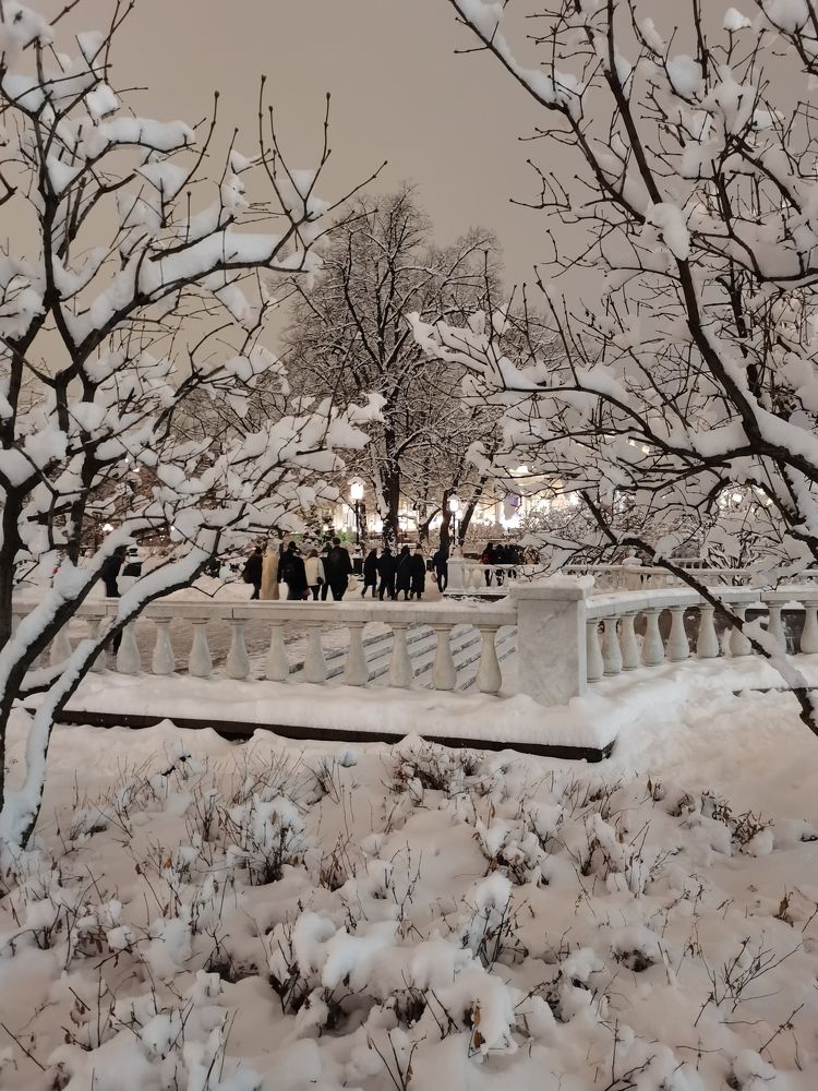 Зимний вечер в Александровском саду