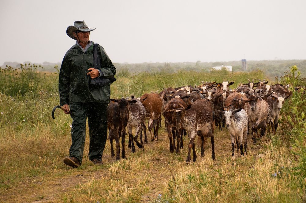 Photograph by Francisco José López Fernández