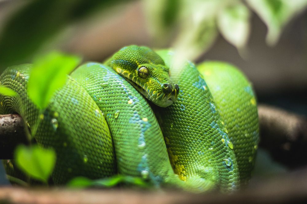 Photograph by Danas Ryženinas