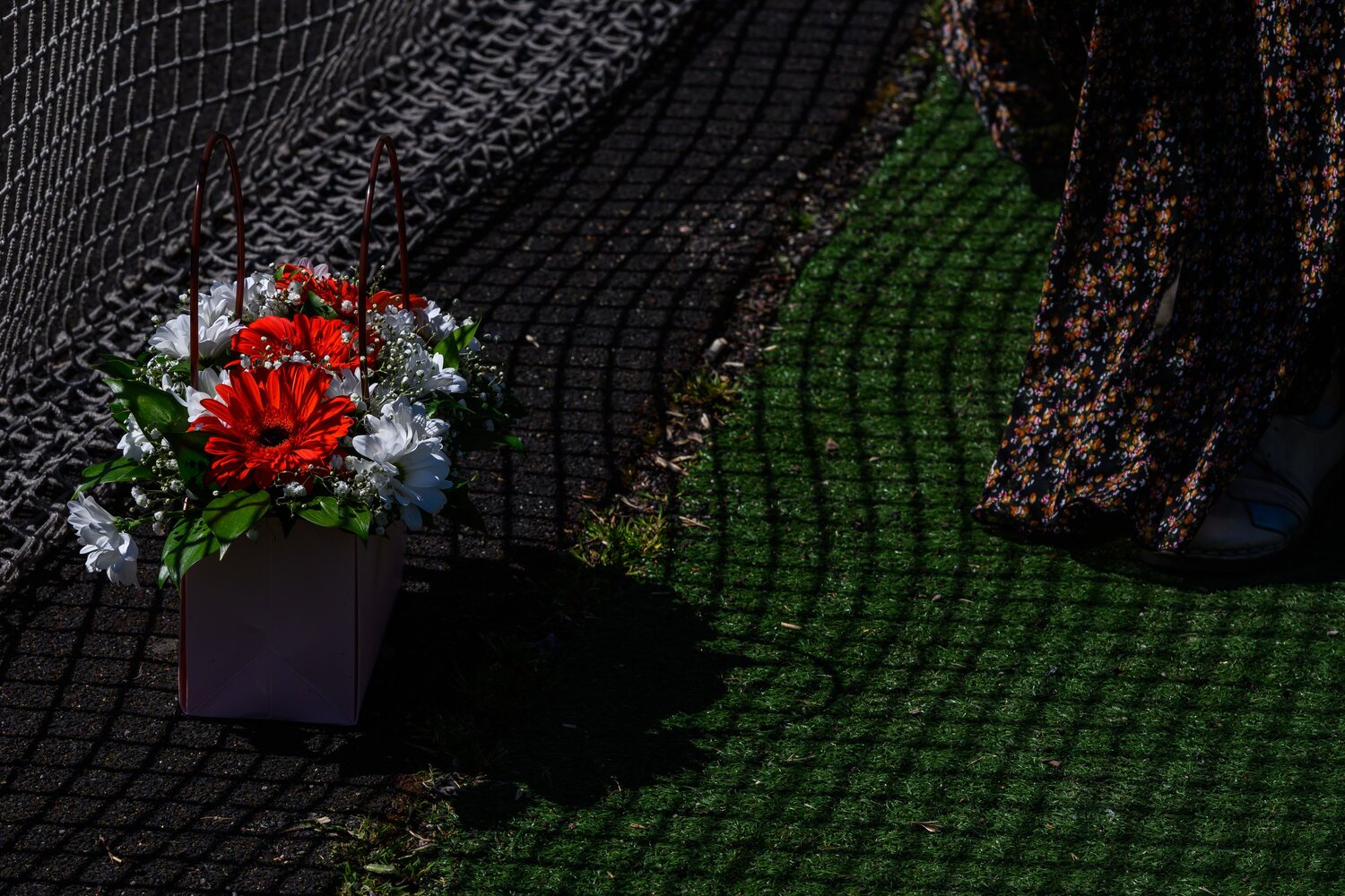 Photo #8524741