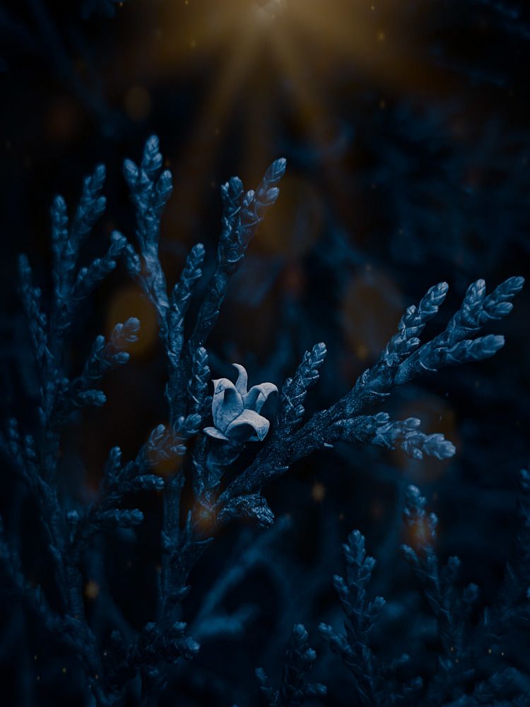 Фотография автора Наталья Синицына