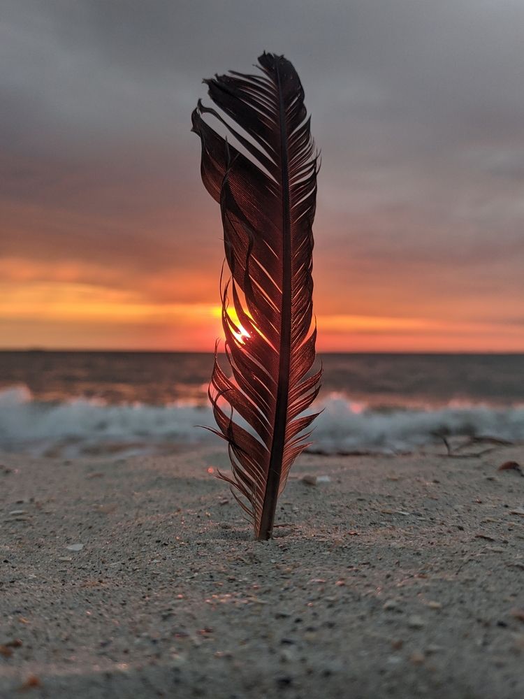 Фотография автора Наталья Синицына