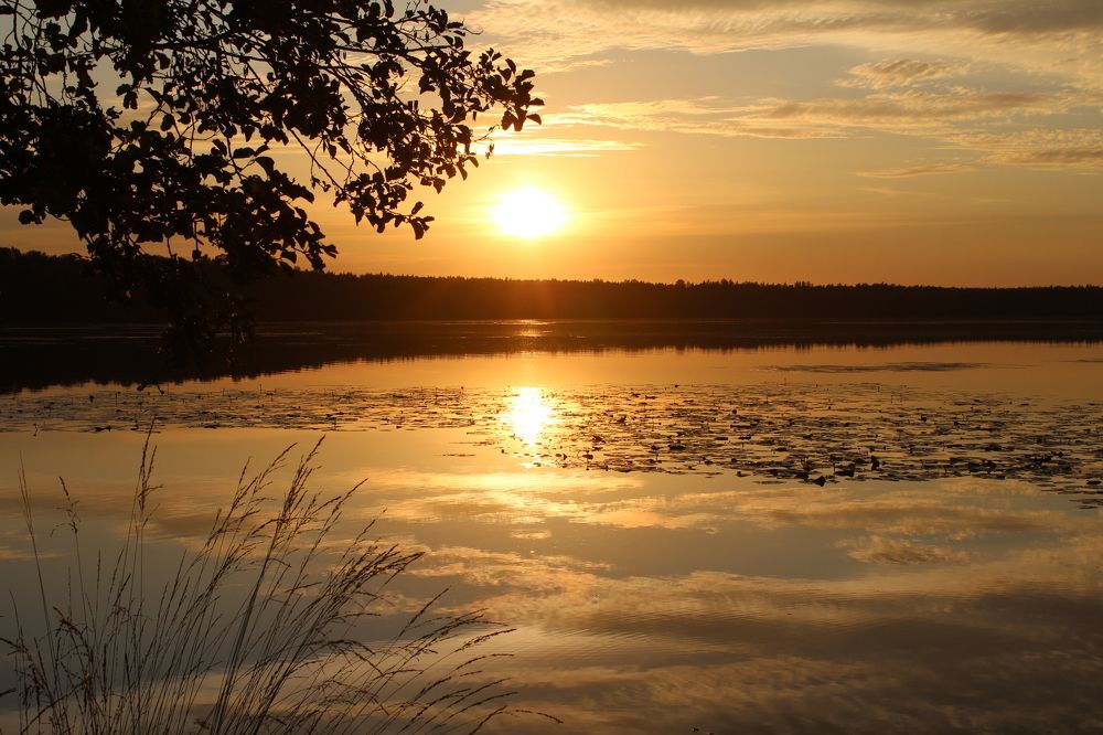 Photograph by Наталья Бойкова