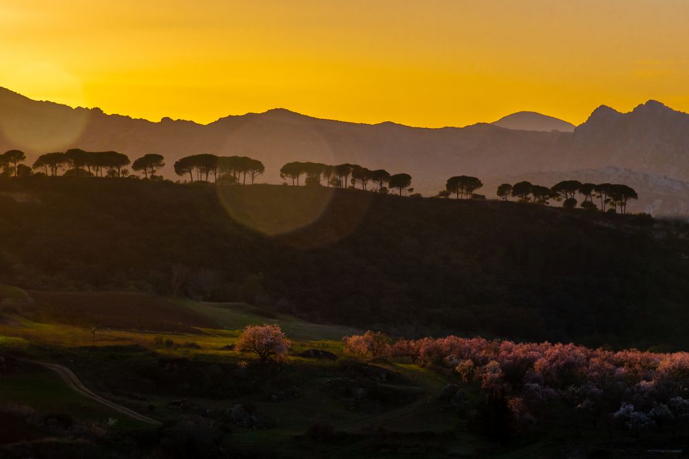 Photograph by Olga Beskrovnykh