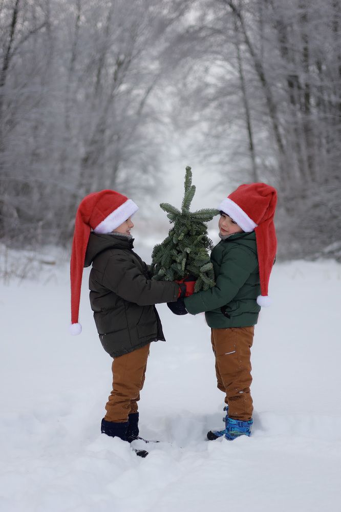 Photograph by Елена Митина