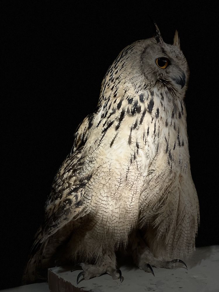 Photograph by Розалия