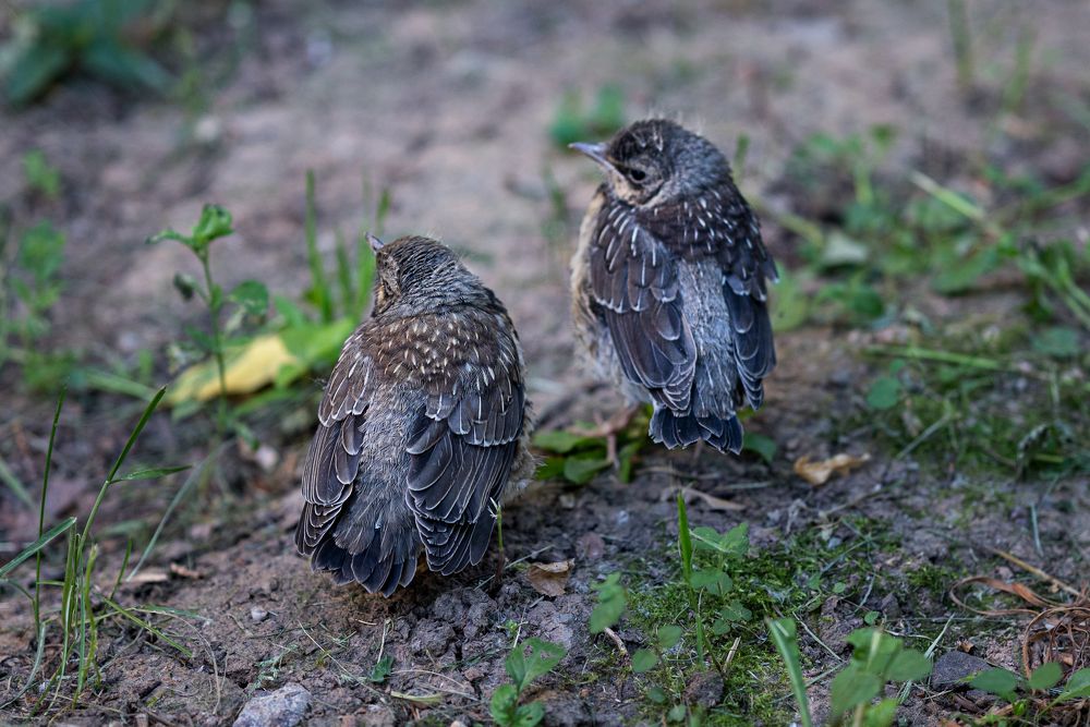 Photograph by Анастасия