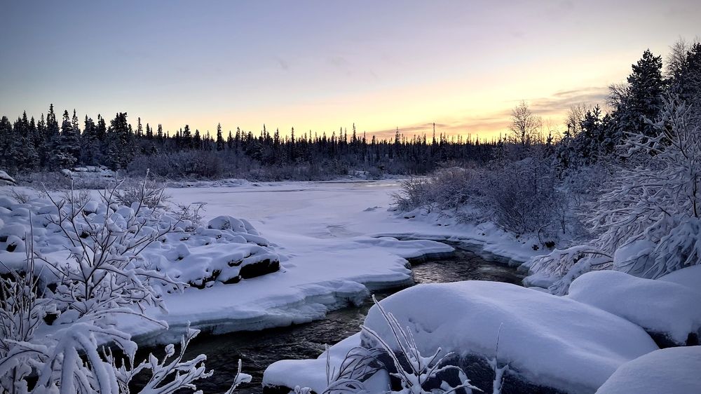 Фотография автора Юлия Шумейко