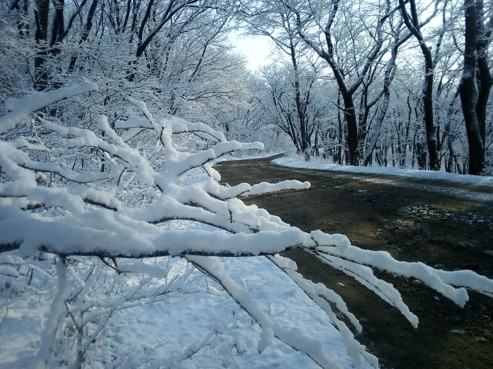 Фотография автора Богатов Андрей