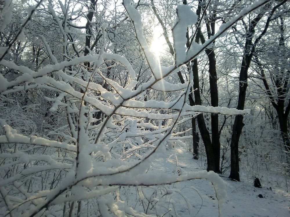Фотография автора Богатов Андрей
