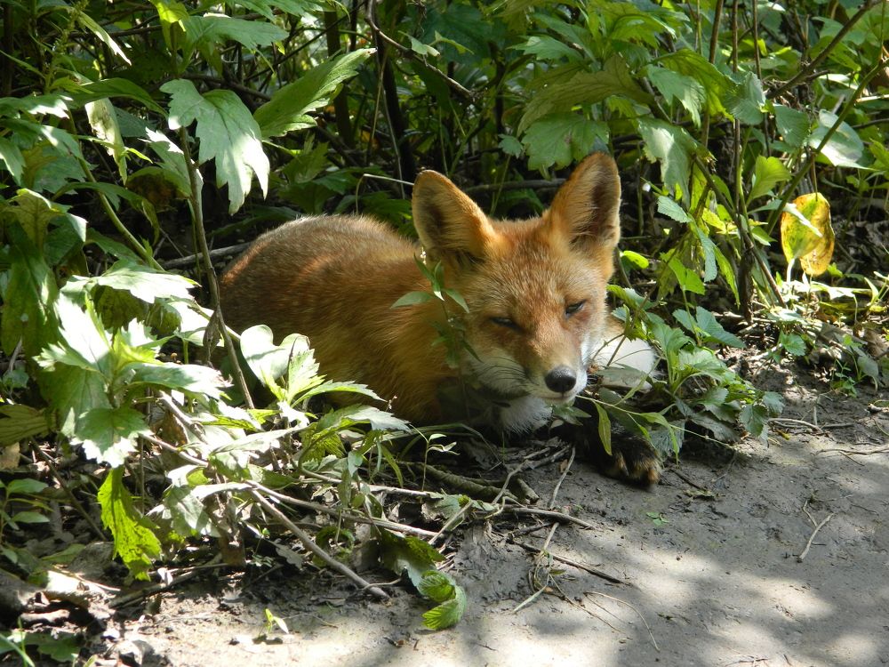 Фотография автора Богатов Андрей