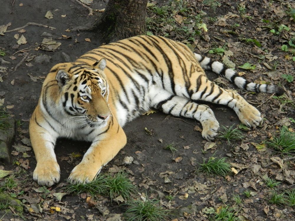 Фотография автора Богатов Андрей