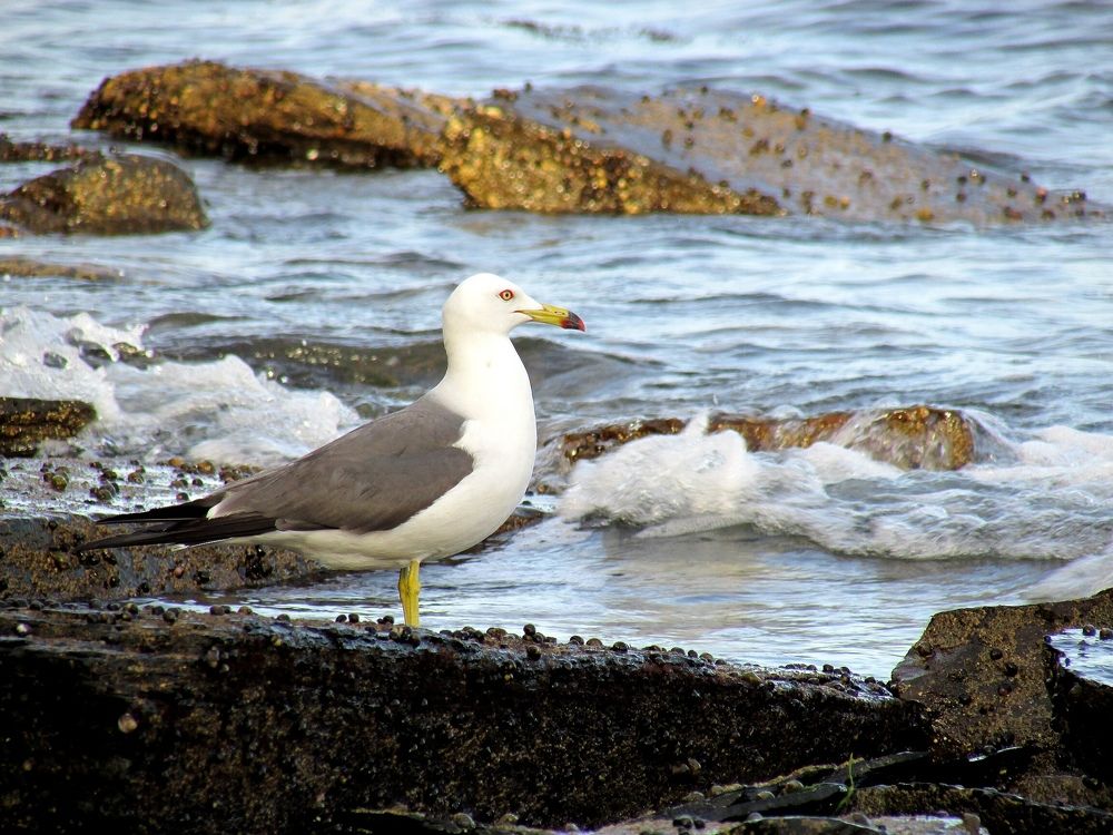 Фотография автора Богатов Андрей