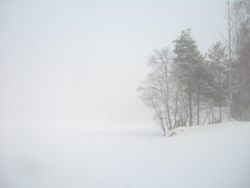 Photograph by Ольга Белик