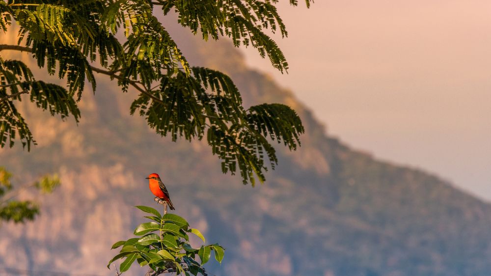 Photograph by Jaime Trejo