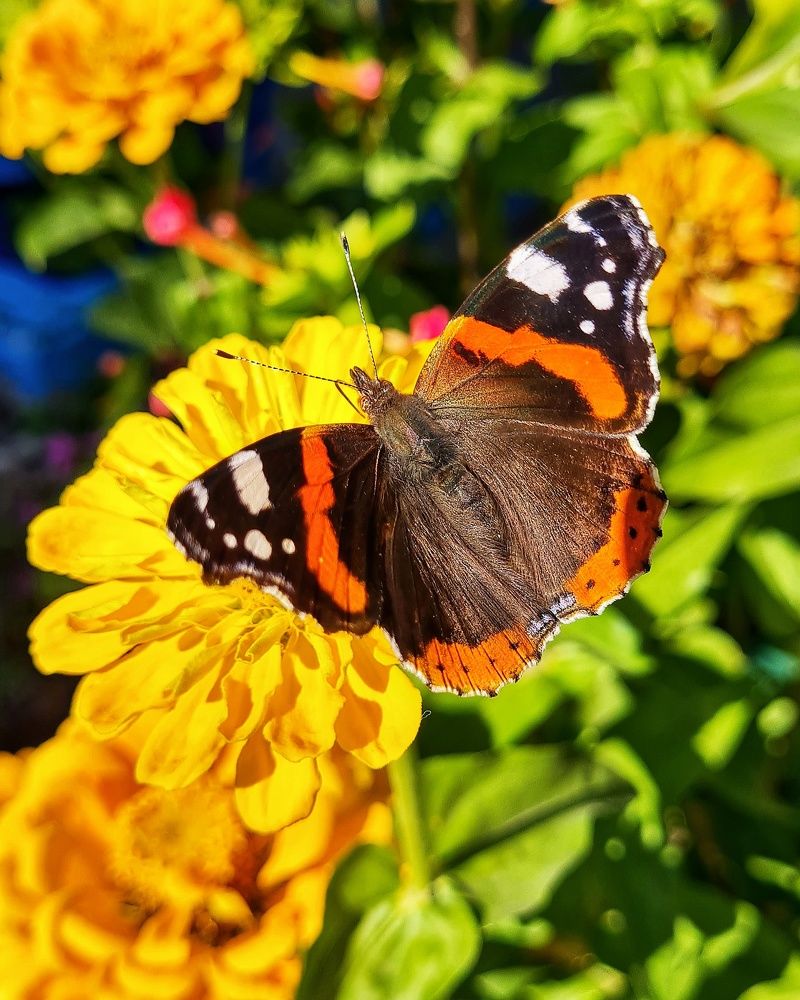 Photograph by Светлана