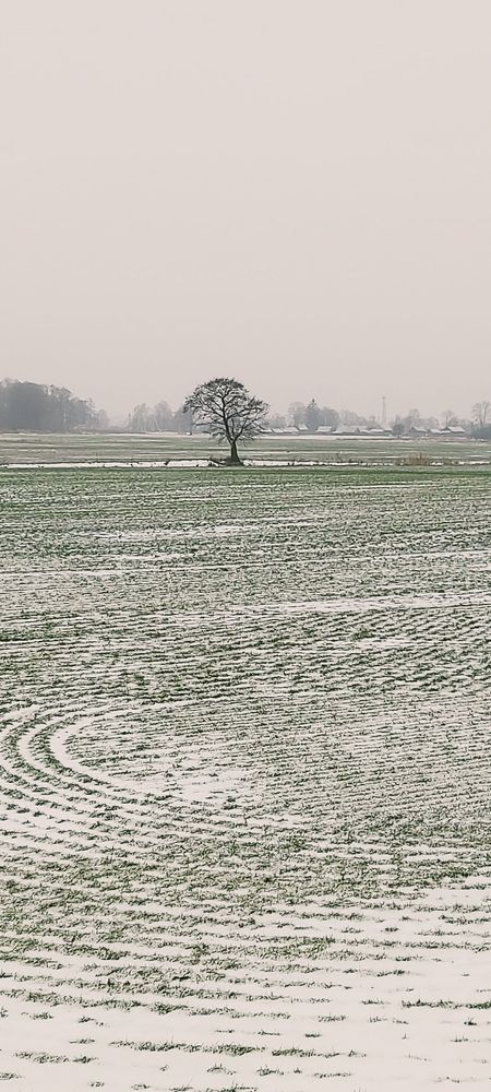 Зимнее очарование...