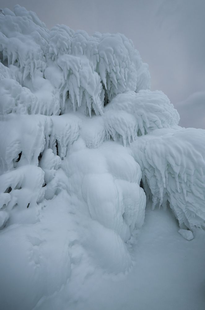 Фотография автора Лариса Кисурина