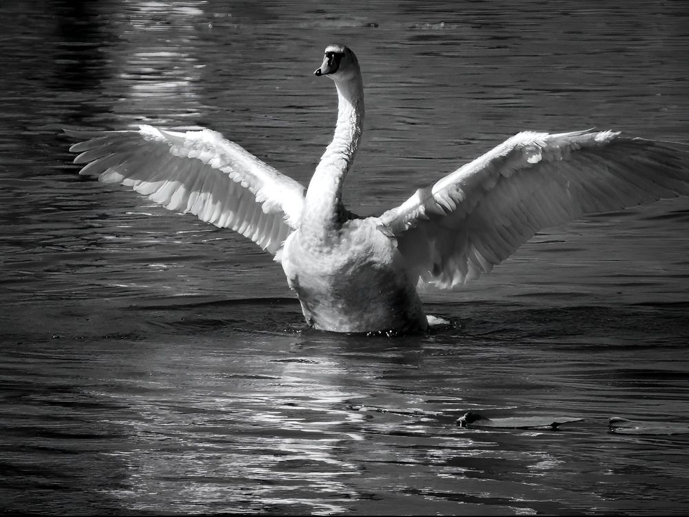 Фотография автора Michael Gault