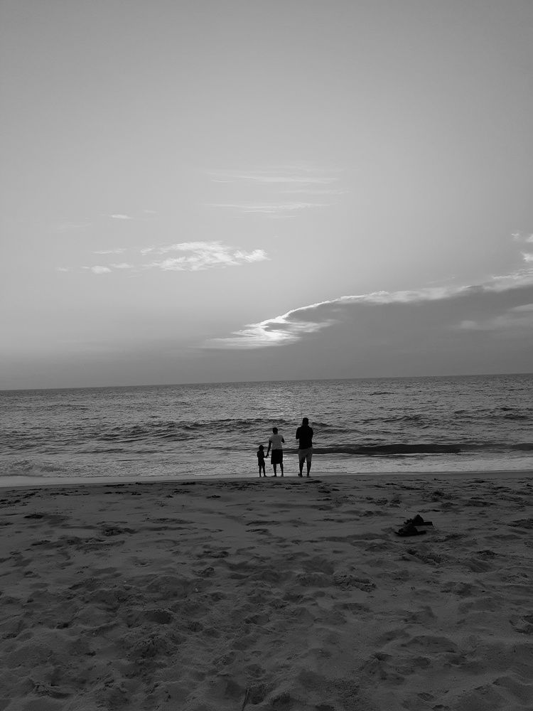 Black and white landscape