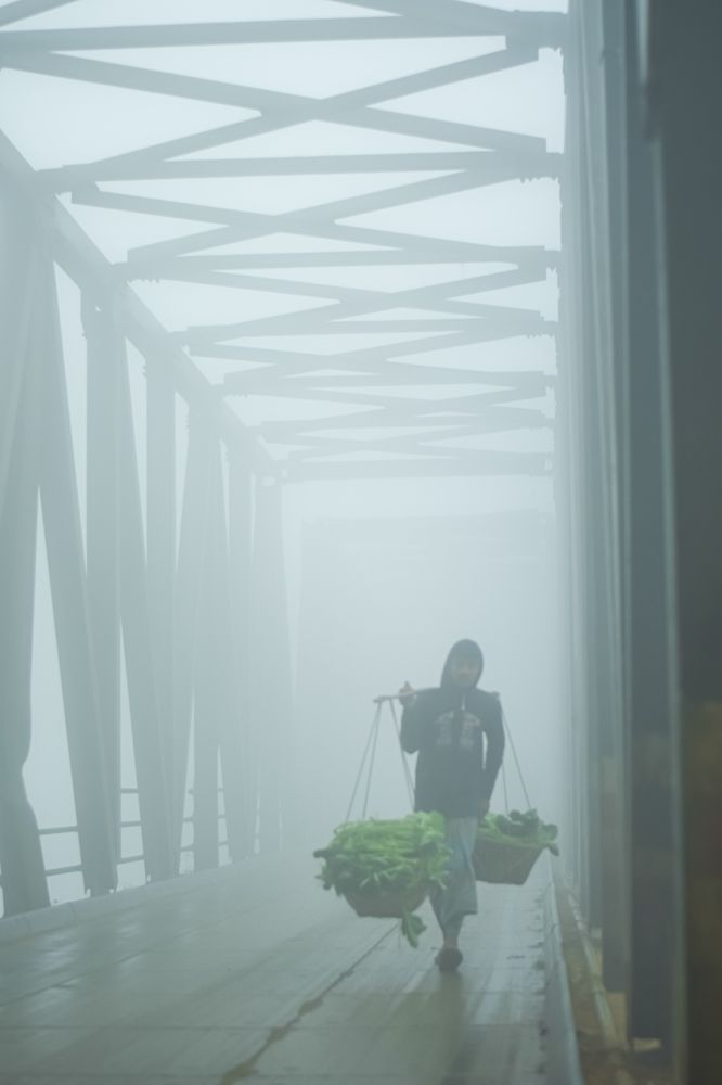 Photograph by Md Raihan