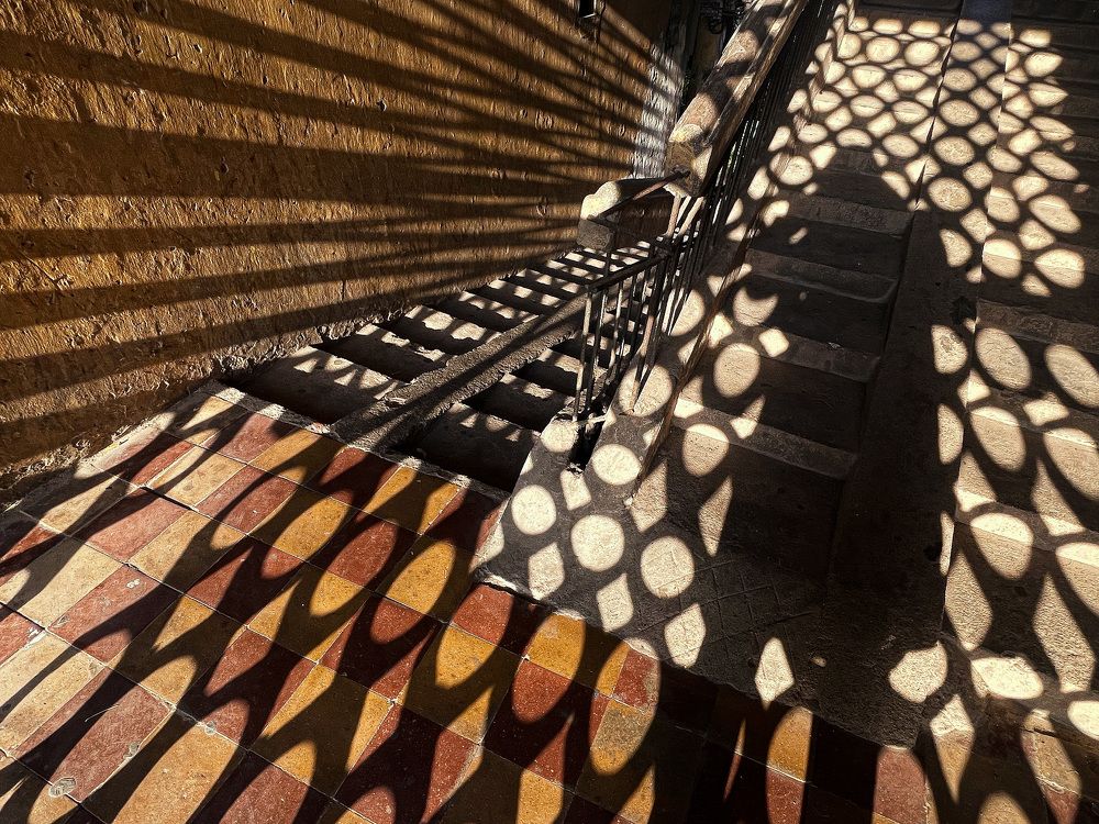 Photograph by Hanh P. T. Pham