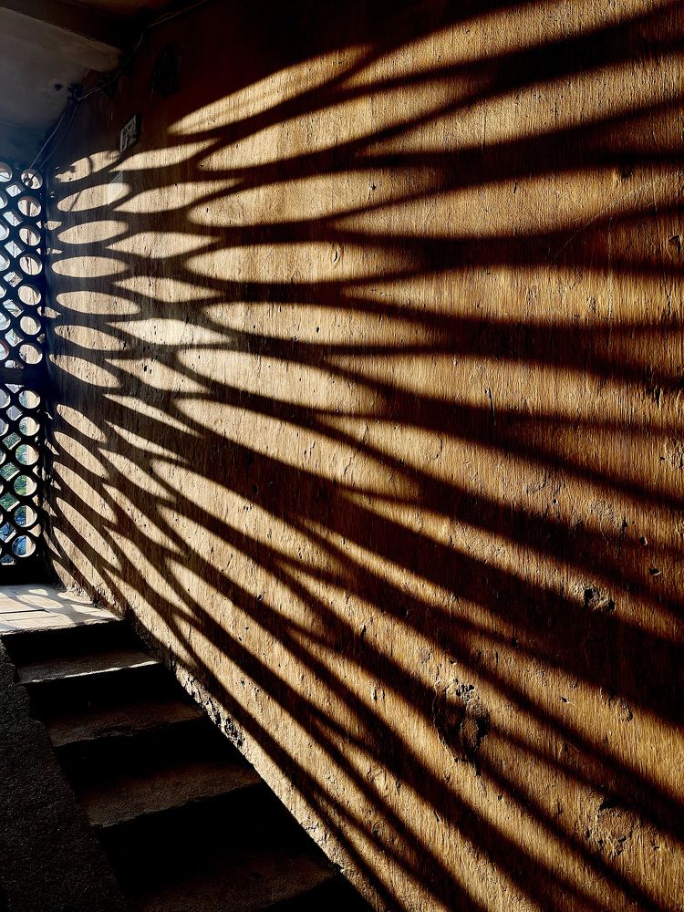 Photograph by Hanh P. T. Pham