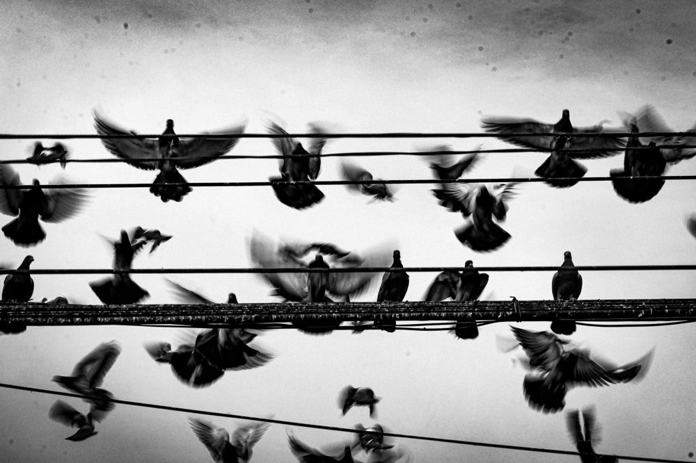 Photograph by Bastián Cifuentes Araya