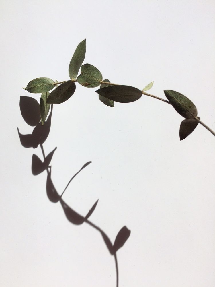 Photograph by Елена Комова