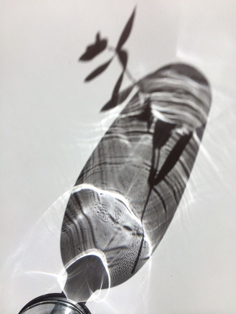 Photograph by Елена Комова