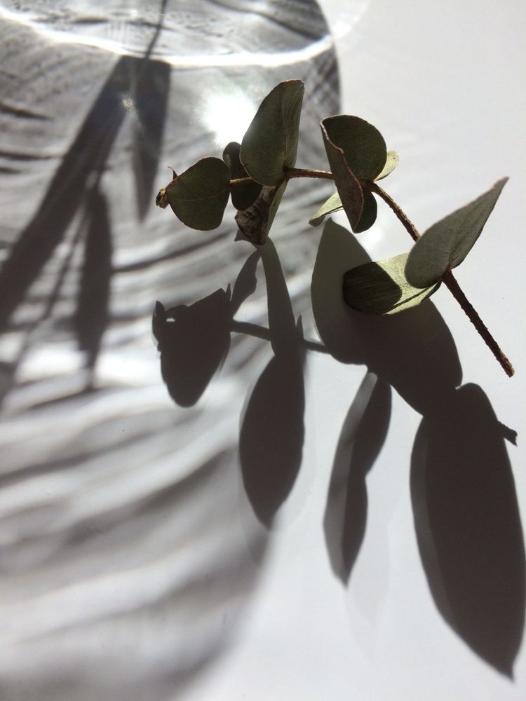 Photograph by Елена Комова