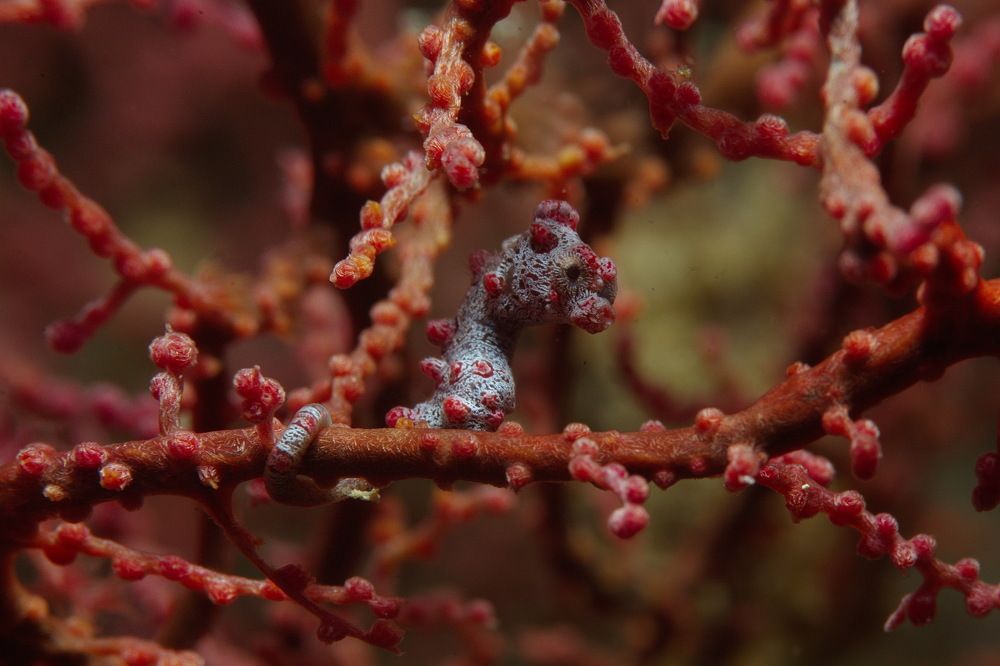 Фотография автора Владимир Чубенко