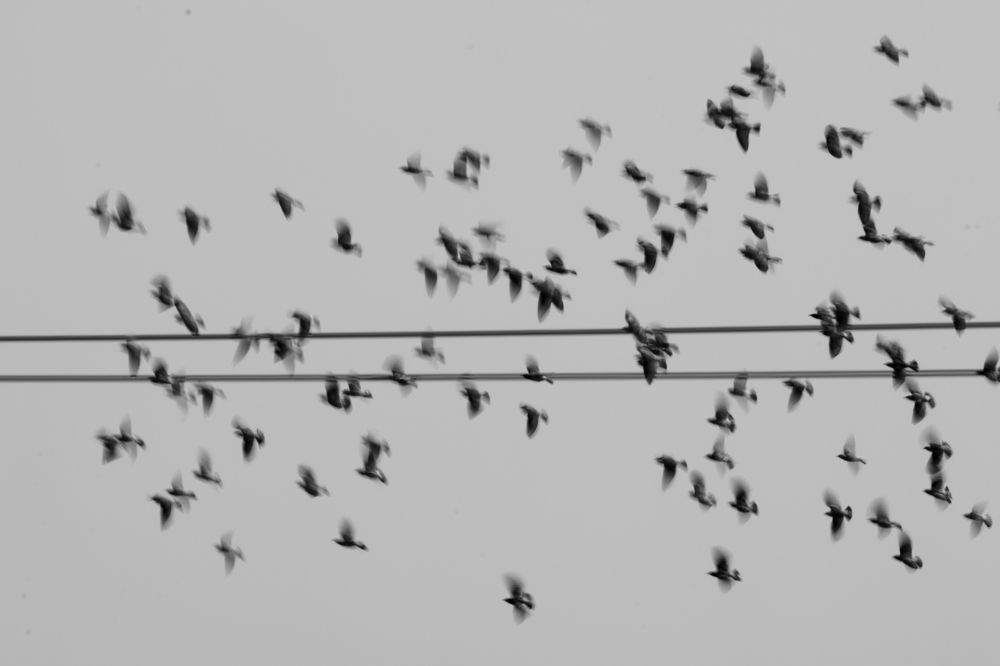 Photograph by Yuganthan Nallusamy