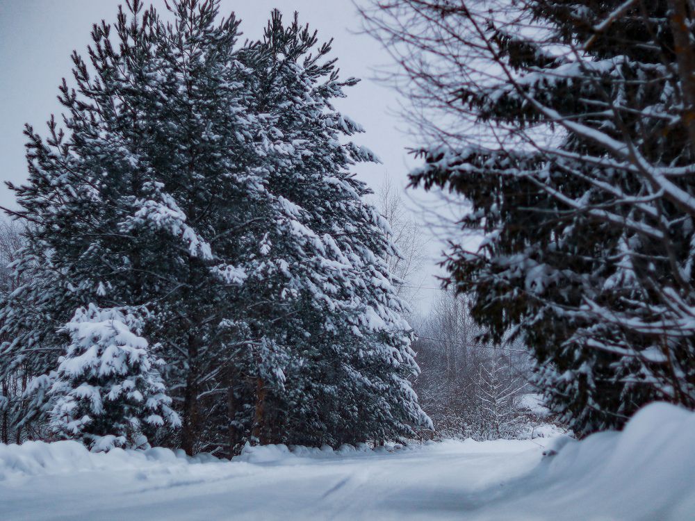 Photograph by Екатерина Слепнева