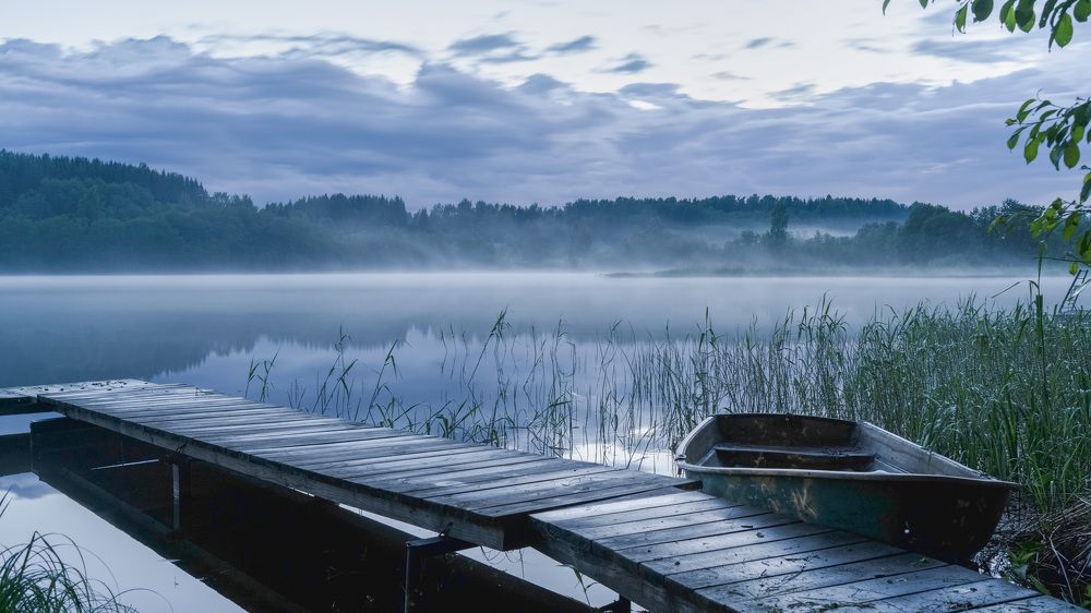 Photograph by Artem Zykin