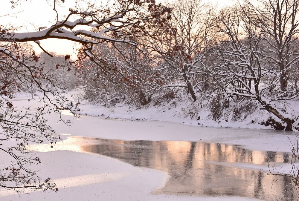 Photograph by Ирина Алексеева