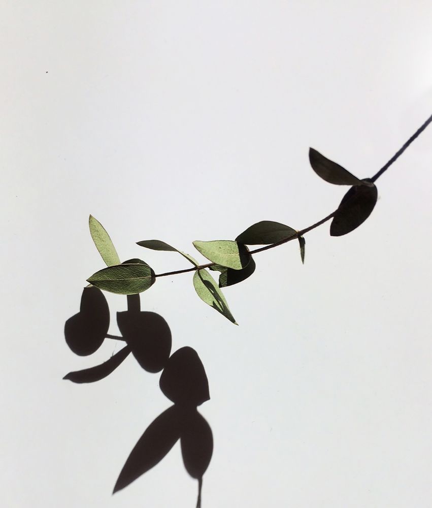 Photograph by Елена Комова