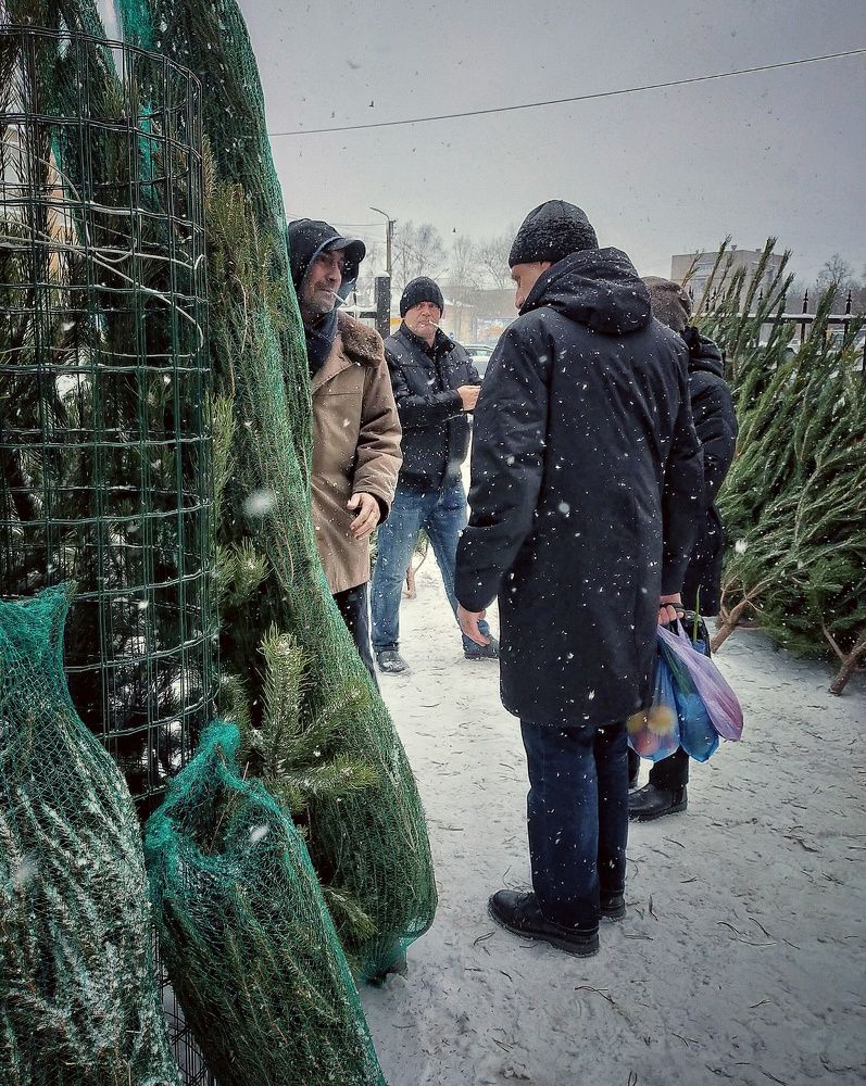 Photograph by Ольга Мартьянова