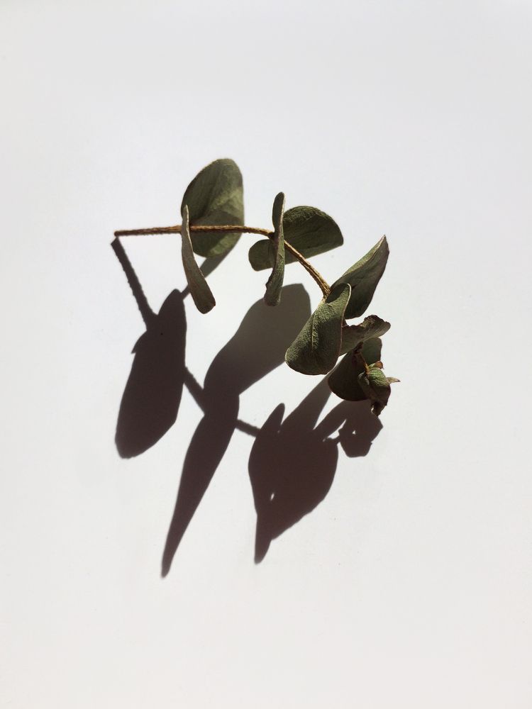 Photograph by Елена Комова