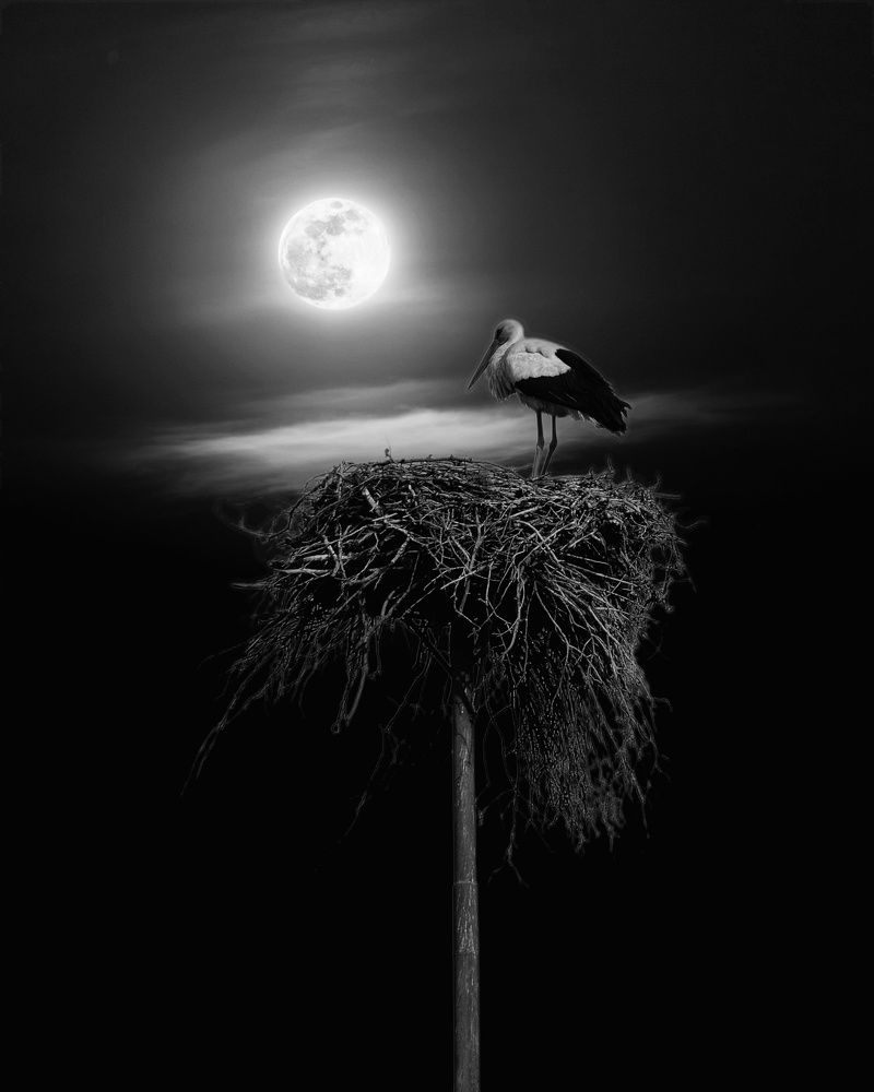 Photograph by Amin Golestanipour