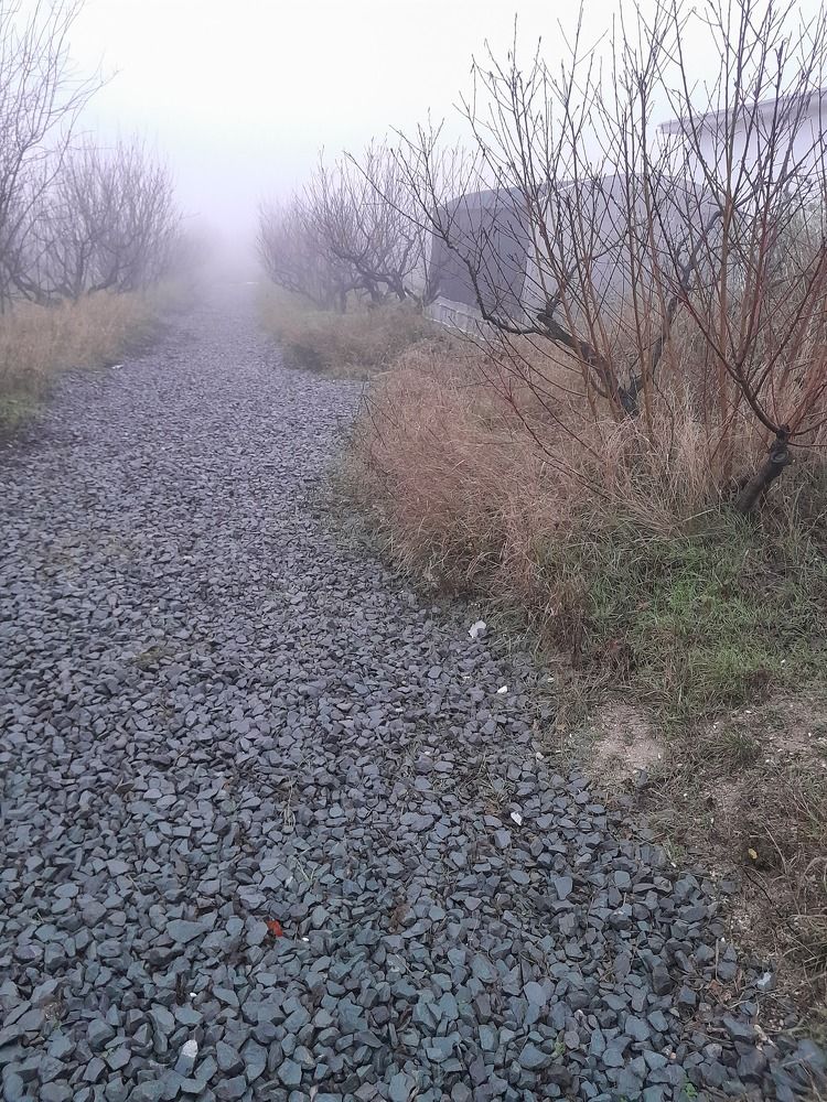 Photograph by Татьяна Ситникова