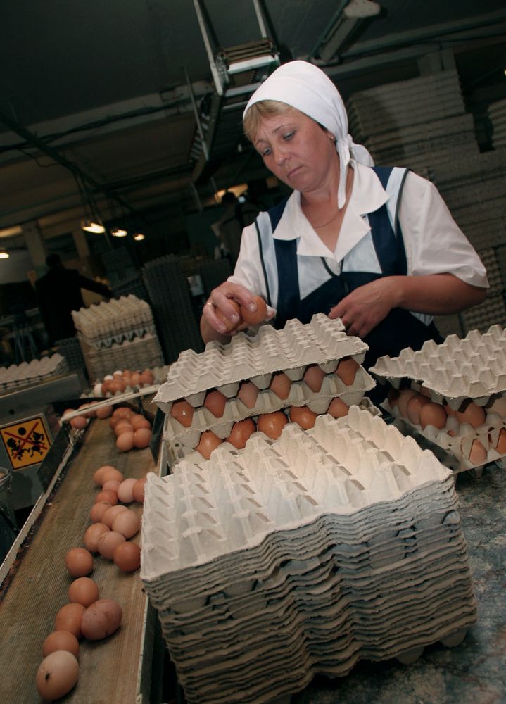 Фотография автора Андрей Данильсон