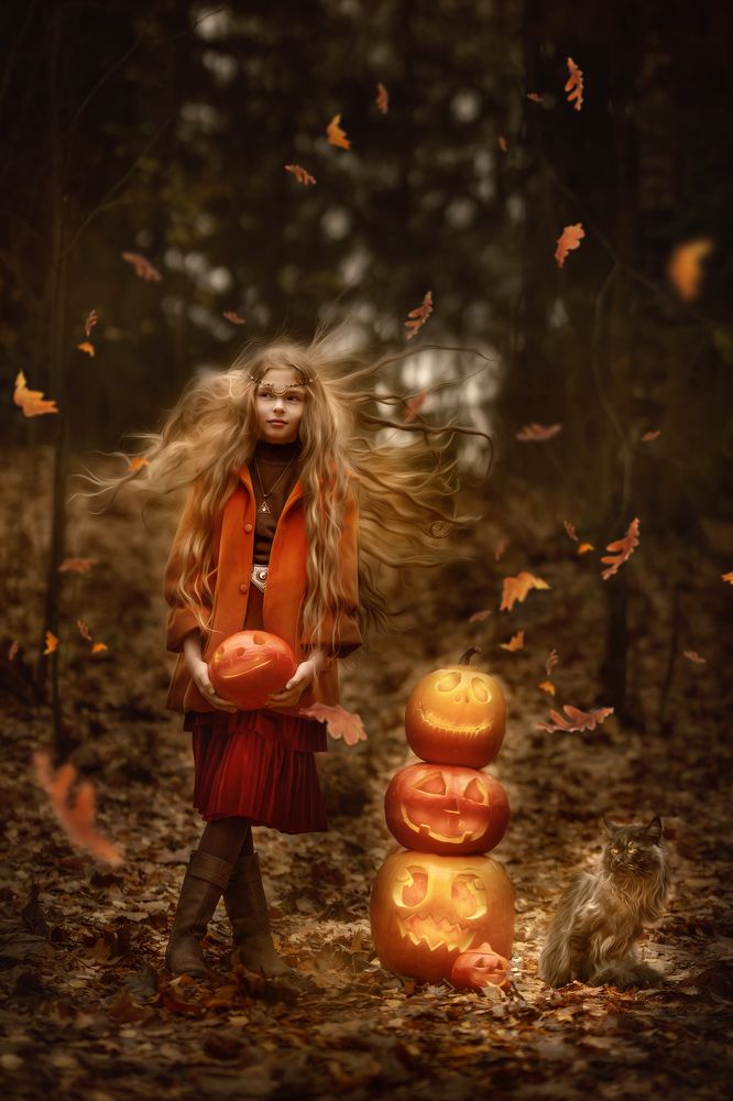 Фотография автора Елена Петрова