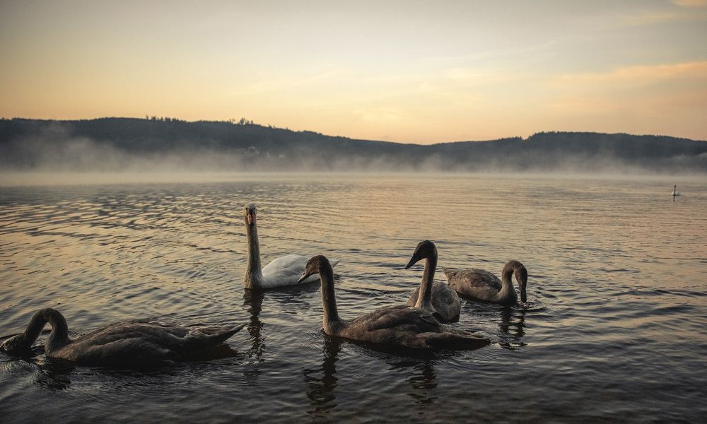 Фотография автора Igor Lukin