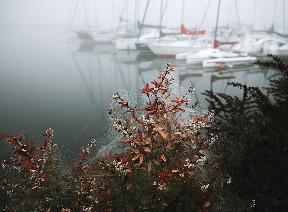 Фотография автора Igor Lukin