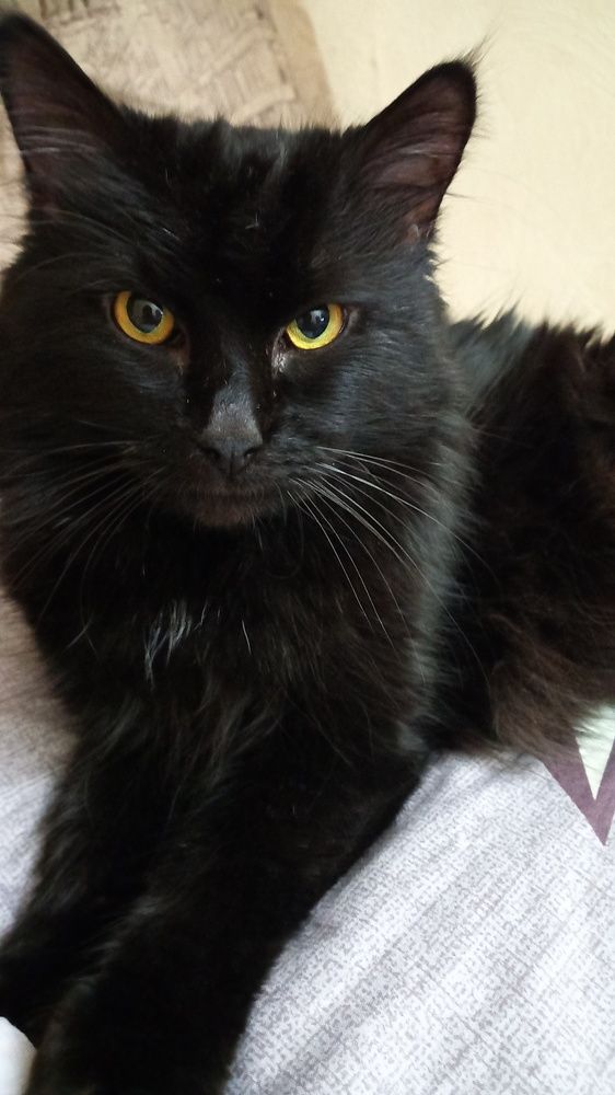 Photograph by Марина Храпова