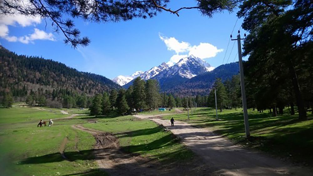 Photograph by Ирина Шибитова