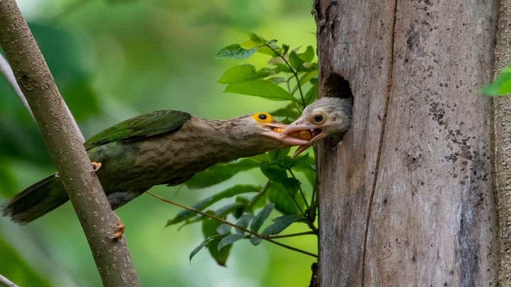 Photograph by NAVIN AGARWAL