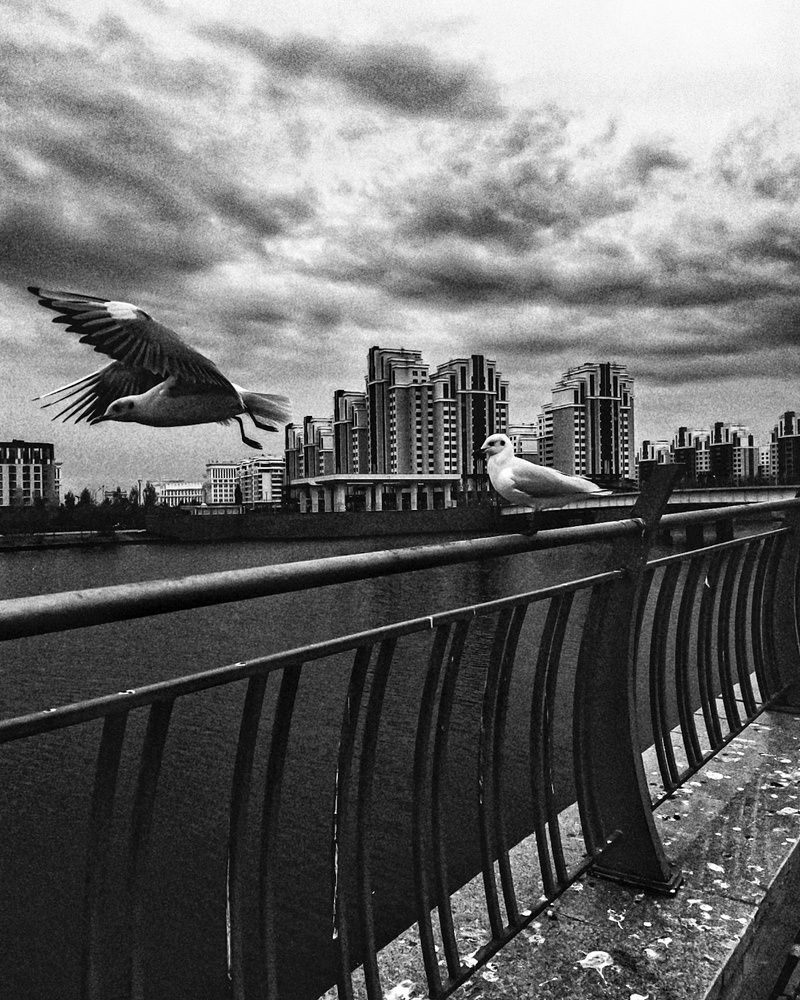 Photograph by Kanat Amre